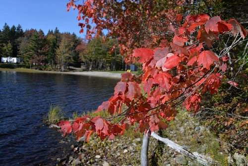 Herbst2016 (10)